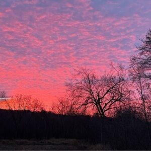 Meet your Posher, Dianna